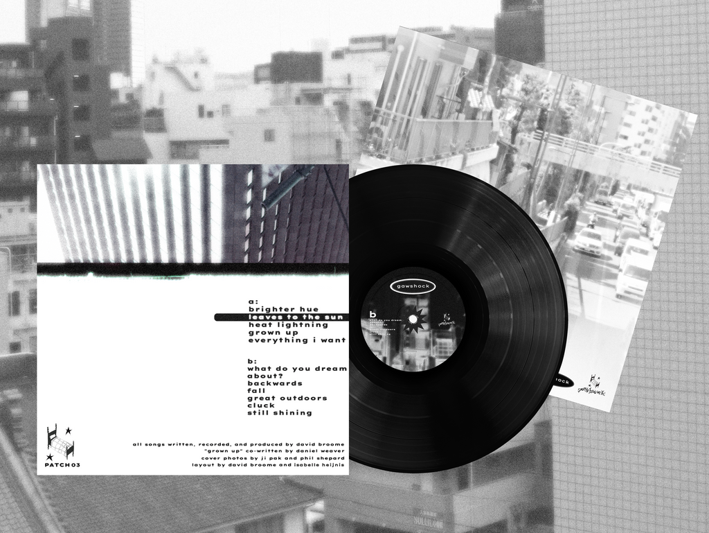 Gawshock - Leaves to the Sun (Vinyl Record)