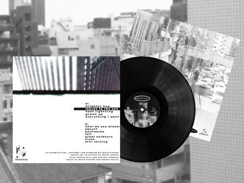 Gawshock - Leaves to the Sun (Vinyl Record)